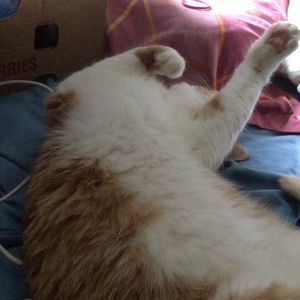 Meet your Posher, Doris